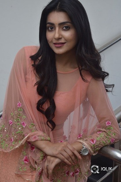 Avantika-Mishra-At-Vaishakham-Movie-Success-meet